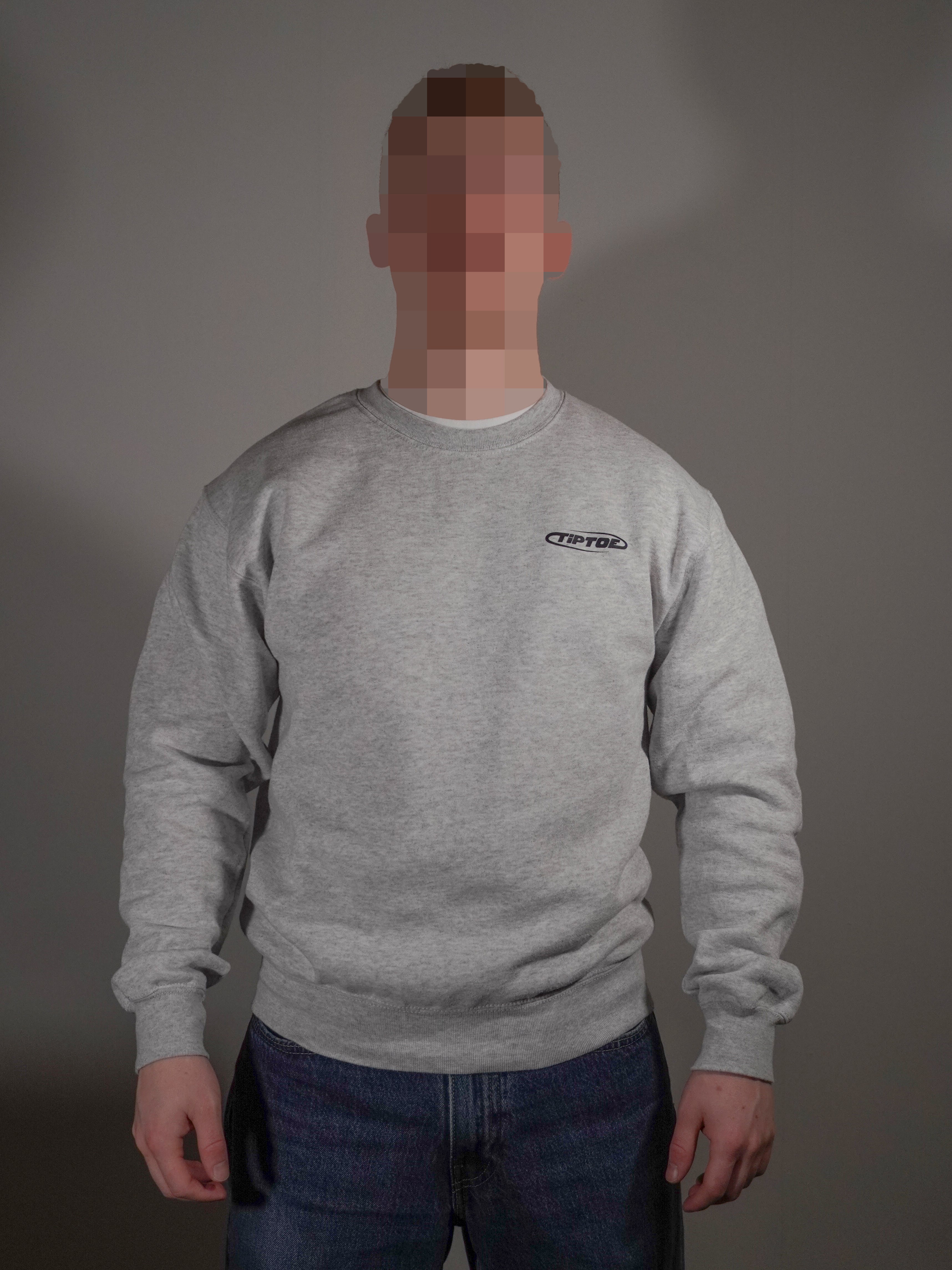 Grauer Sweater mit kleinem Frontlogo getragen von Model in klassischer Passform
